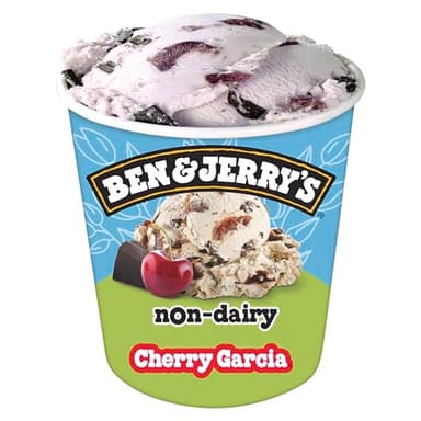 Ben & Jerry's Non-Dairy, Cherry Garcia, 16 oz