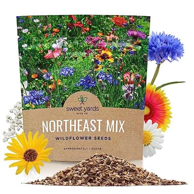 Northeast Wildflower Seeds - Extra Large 1 Ounce Packet - Over 7,500 Native Seeds - Open Pollinated and Non GMO Varieties for New York, Virginia, Pennsylvania, Maine and More!
