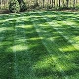 Outsidepride Midnight Kentucky Bluegrass Seed - 10 Lbs. Cold & Drought Tolerant, Sun-Loving Lawn Grass Seed, w/High Traffic Tolerance & Deep Root System, OptiGrowth Coated for Better Establishment
