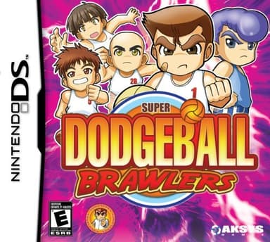 Super Dodgeball Brawlers - Nintendo DS (Renewed)