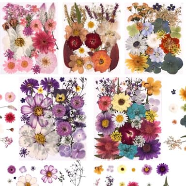 Cokosing 5 Packs of 140 Pressed Dried Flowers and Leaves Real Natural Dried Flowers with Tweezers for DIY Crafts, Resin Jewelry, Card Making, Soap, Candles, Nail Art, and Scrapbooking (5 Colors)
