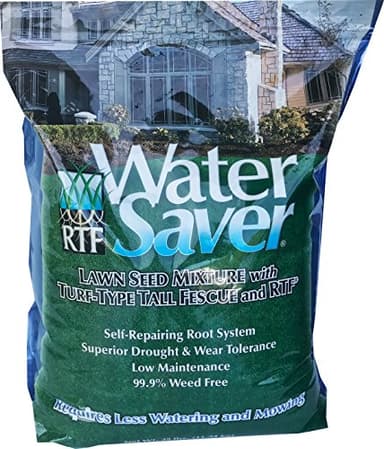 Barenbrug 11625 Water Saving 25 lb. Grass Seed