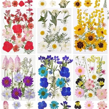 Dried Flowers for Resin, 106pcs Natural Flowers and Leaves Compressed