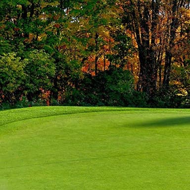 Creeping BentGrass Seeds, 5 Pounds