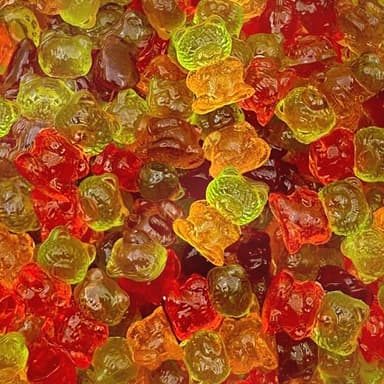 Sugar-Free Gummi Bears | 1 Pound Pack | 3D Chewy Gummy Candy | Assorted Fruit Flavors