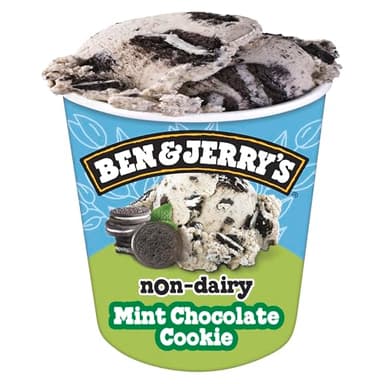 Ben & Jerry's Non-Dairy Mint Chocolate Cookie Frozen Dessert Certified Vegan Pint 16 oz