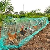 UNIFAMILY Flexible Chicken Tunnels 354 x31 Inch, Chicken Coop Run, Chicken Tunnel for Yard Outside, Easy Installation Chicken Tunnel Runs Suitable for Chickens, Duck, Rabbit, Green