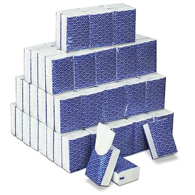 Therwen 100 Pack Pocket Tissues Travel Packs Bulk 1000 Sheet Mini Tissues Bulk 3 Ply Small Travel Size Paper Individual Pocket Size (Cool)