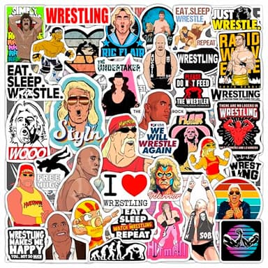 BulbaCraft 100Pcs Wrestling Stickers and Decals for Water Bottles, Wrestling Birthday Party Decorations, Gifts for Wrestlers, Gifts for Women & Men