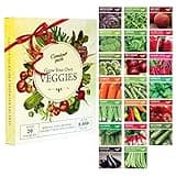 Garden Pack 20 Vegetable Seeds Varieties – High Yield Garden Seeds for Planting Vegetables – Over 8,000 Premium, Non-GMO Heirloom Seed for Outdoor & Indoor Garden