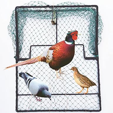 DSQSTMR Pigeon Bird Trap Quail Sparrow Spring Starling Catching Net Traps for Trapping