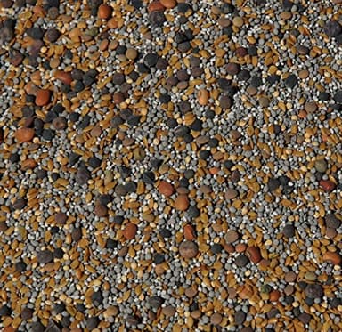 No-Till Cover Crop 13-Seed Mix: 50% Clovers Plus Fenugreek, Vetch, Flax, Cowpeas, Buckwheat, Forage Peas, Millet, Lentils (5-lb. Bag (Five Pound)