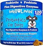Well Loved Probiotics for Dogs, Dog Probiotics, Made in USA, Vet Developed for Gut Health, Yeast Balance, Itchy Skin, Diarrhea & Gas Relief, Chews with Prebiotic & Digestive Enzymes, Digestive Support