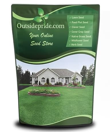 Outsidepride Perennial Buffalo Grass Seed - 2 lbs Heat & Drought Tolerant, Low Maintenance, Warm Season Dense Turf Grass Seed for Lawn, Xeriscape Landscaping, & Roadside Planting