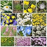Alternative Lawn Wildflower Mix 7 Grams ~4,943 Seeds – Low-Growing Clover, Fescue & Flower Blend – Max 16" Height – Bee Friendly, No Mow, Drought Tolerant – Groundcover Lawn Replacement