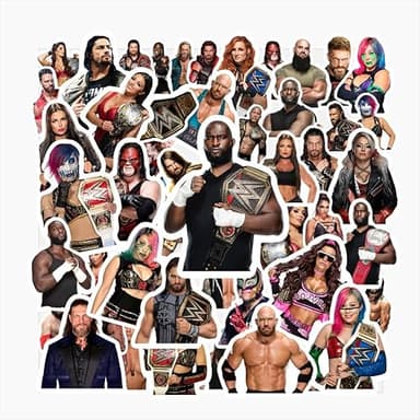 4 Sheets Wrestling Stickers for Water Bottles Wrestling Birthday Party Supplies for Kids Party Decorations Party Favors, Car Stickers and Decals
