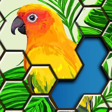 Jigsaw Puzzles Hexa - Free Jigsaw Puzzles for Kindle Fire, Hexa Block Games for Adults