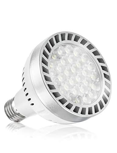 Broadroad LED Pool Light Bulb 120V 65W Daylight White 6000K Swimming Pool 6000LM Pool Light Bulb Replacement for Most Pentair Hayward Light Fixtures (Pool 65W)