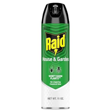Raid House & Garden Insect Killer Spray, Kills Listed Ants, Roaches & Spiders, For Indoor & Outdoor Use, Won't Harm Plants, 11 oz