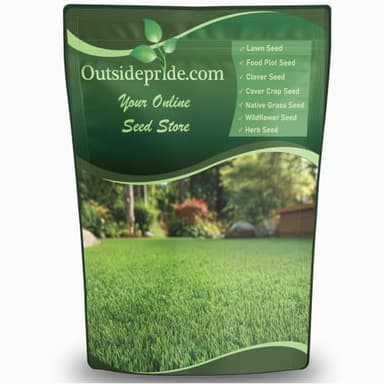 Outsidepride Oasis Bermuda Grass Seed - 5 lbs Warm Season, High Traffic, Heat Resistant, Drought-Tolerant, Low-Maintenance, Fast Growing Turf Grass for Lawn, Ideal for Sunny Areas, Thick Coverage